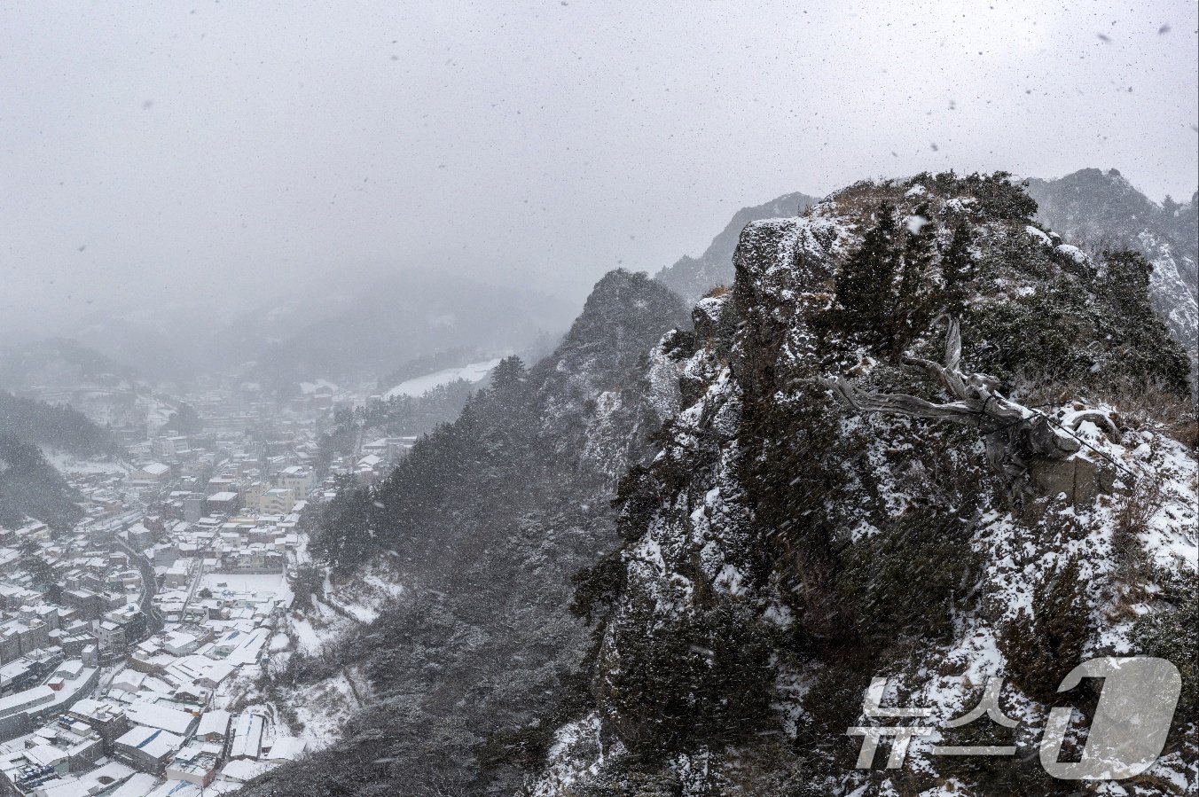 본문 이미지 - 대설경보가 발령된 18일 경북 울릉군 전역에 눈이 내리고 있다. (독자제공) 2024.12.18/뉴스1 ⓒ News1 최창호 기자