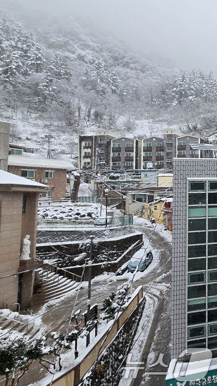 본문 이미지 - 대설경보가 발령된 18일 경북 울릉군 전역에 눈이 내리고 있다. (독자제공) 2024.12.18/뉴스1 ⓒ News1 최창호 기자