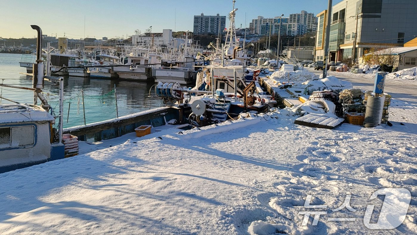 본문 이미지 - 19일 오전 경북 포항시 남구 구룡포 항구에 정박돼 있는 어선들이 눈에 덮여있다. 2024.12.19/뉴스1 ⓒ News1 최창호 기자