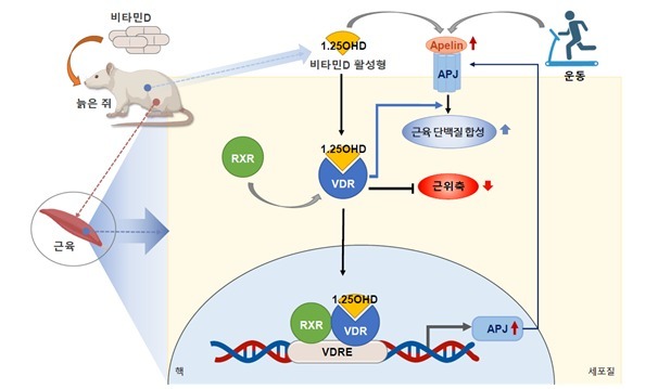 많이 본 뉴스