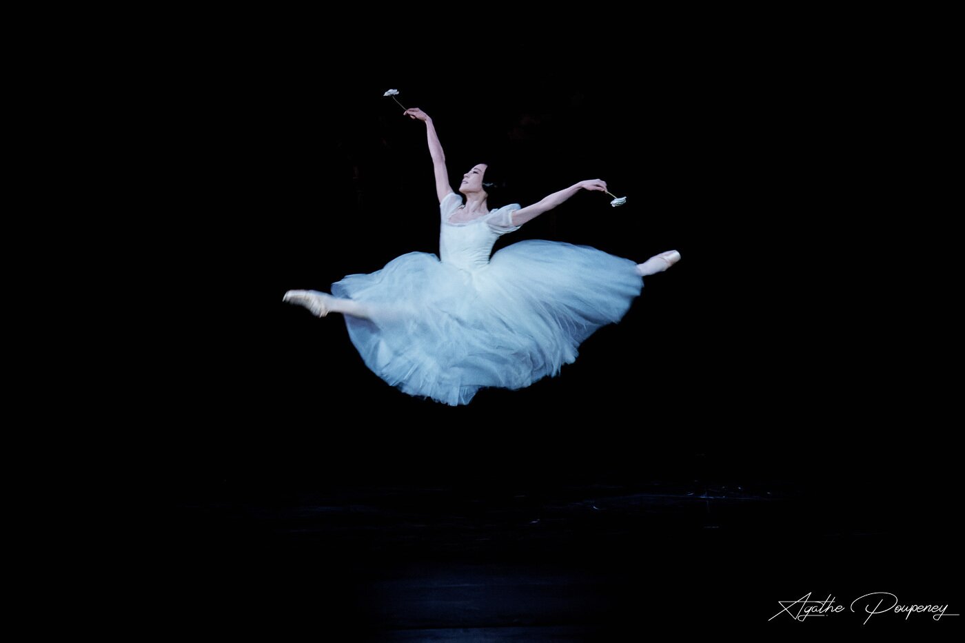 본문 이미지 - 파리오페라발레단 최고무용수 박세은&#40;케이글로벌발레원 제공&#41;ⓒAgathe Poupeney