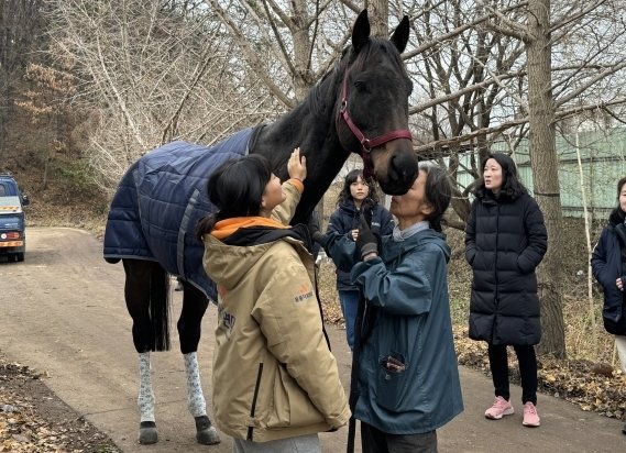 공주시 폐마목장에 살아남은 말들은 임시보호처와 입양처로 모두 이동했다. &#40;동물자유연대 제공&#41; ⓒ 뉴스1