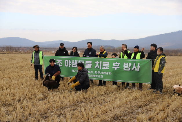 경기도, 비행불가 독수리 7개월간 회복시켜 자연 방생