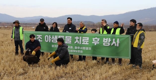 경기도, '독수리식당' 통해 구조동물 방사…"잘 먹고 살아남길"