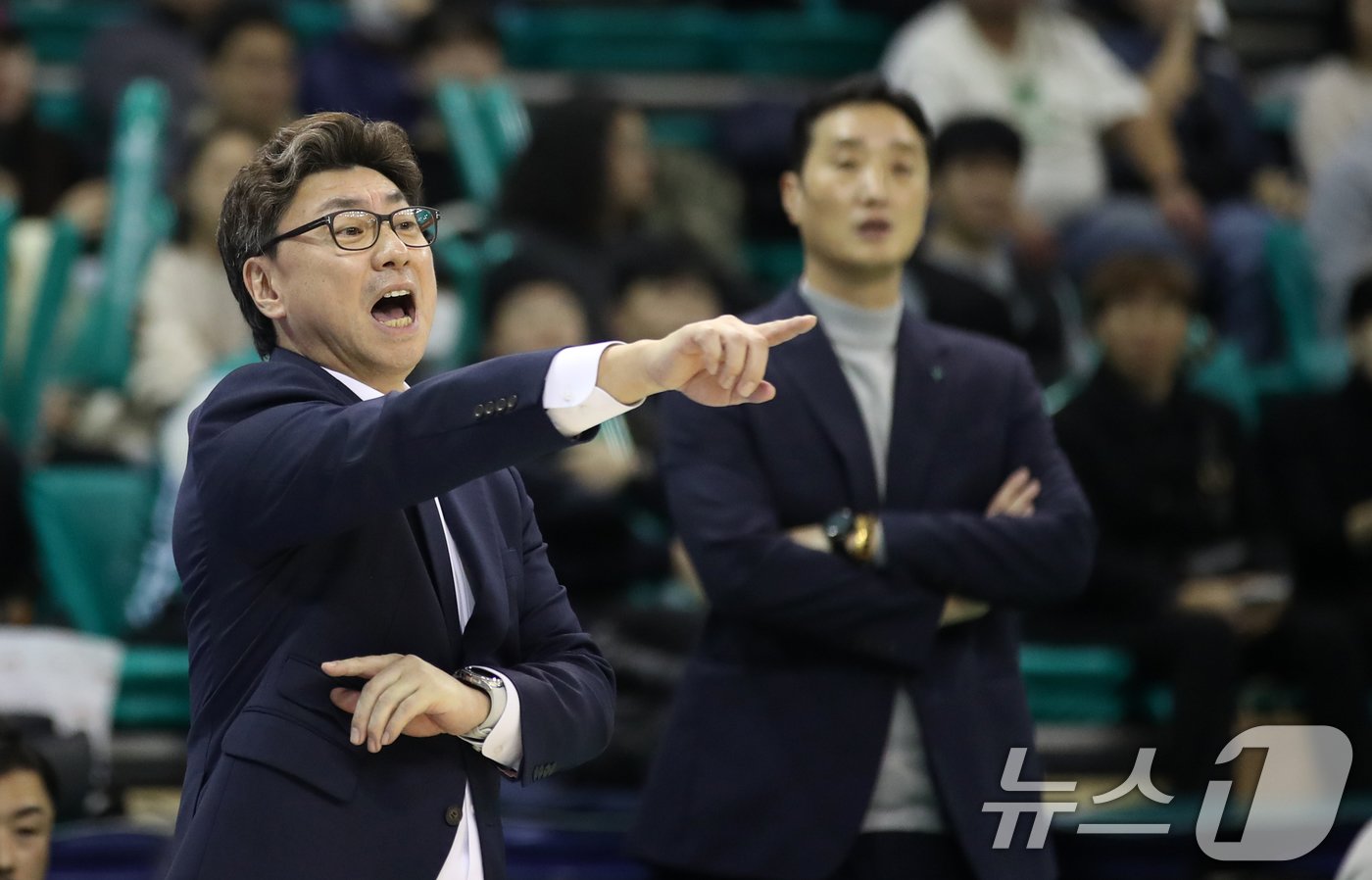 본문 이미지 - 2일 오후 부천시 원미구 부천체육관에서 열린 하나은행 2024-2025 여자프로농구 부천 하나은행과 용인 삼성생명 블루밍스의 경기에서 김도완 하나은행 감독이 작전지시하고 있다. 2024.12.2/뉴스1 ⓒ News1 이승배 기자