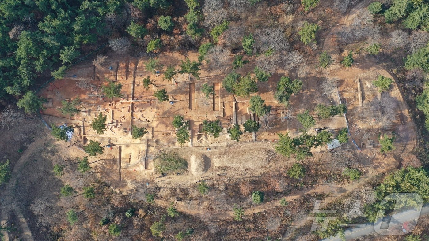 본문 이미지 - 국립군산대학교 내에 위치한 마한유적 군산 미룡동 고분군.(군산시 제공) 2024.12.20/뉴스1
