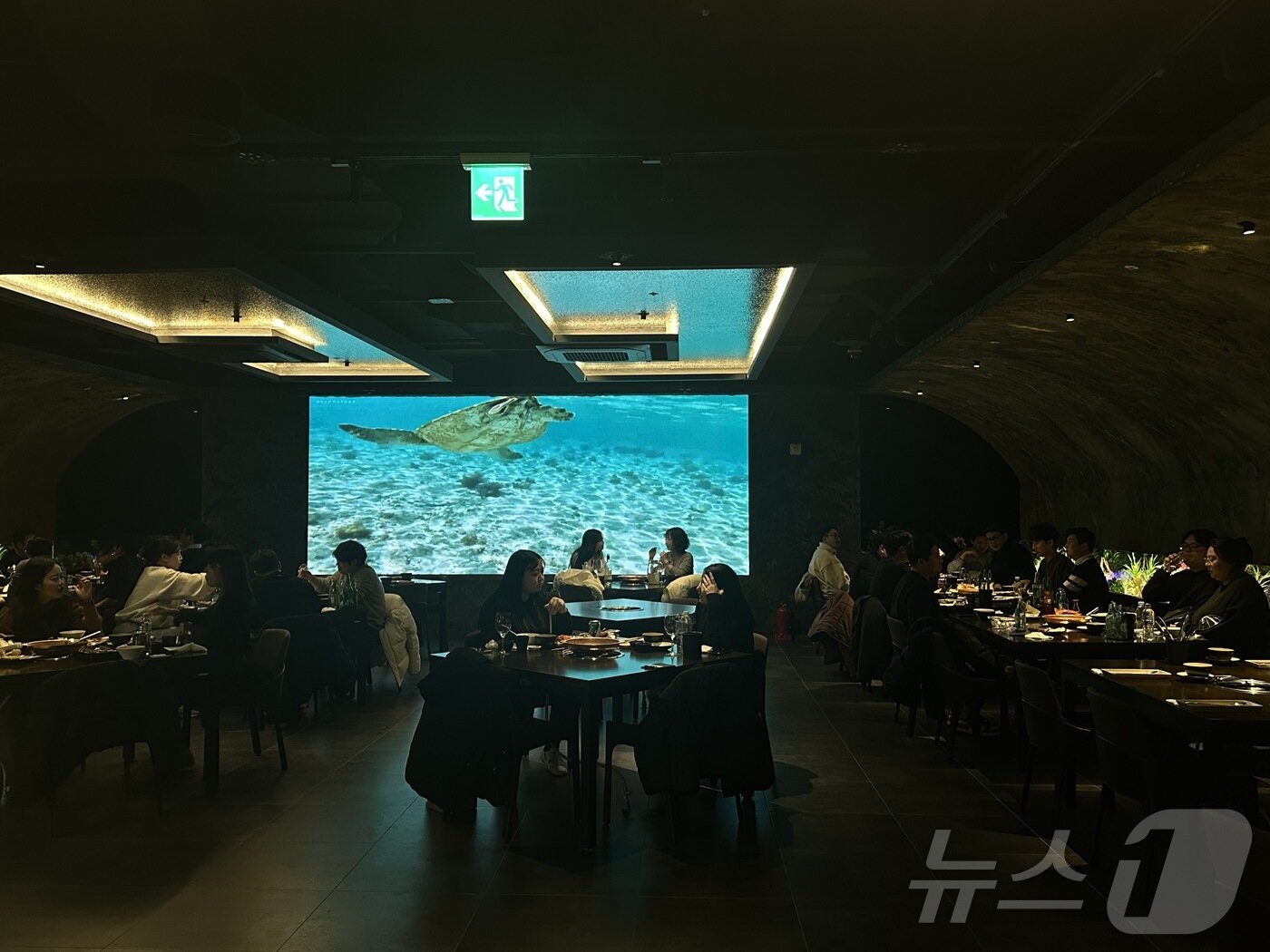 본문 이미지 - 바이킹그룹이 문을 연 갑각류 오마카세 '노량진101' 전경.(바이킹그룹 제공)