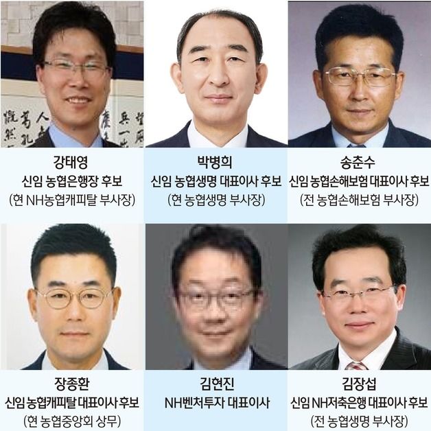 차기 농협은행장에 강태영 부사장…농협금융, 5개 계열사 대표 교체(종합)