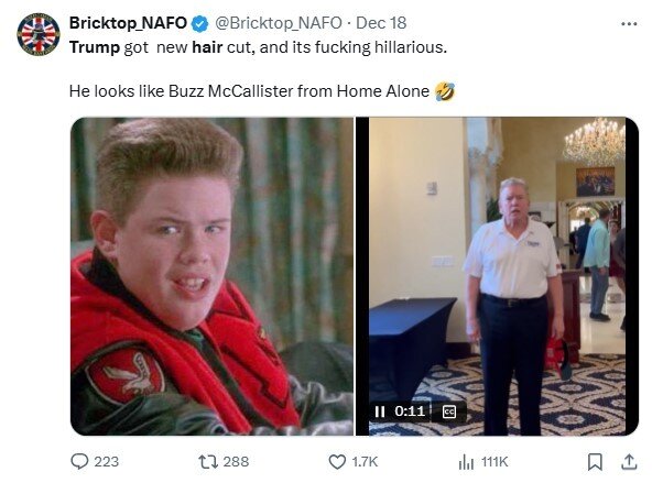 본문 이미지 - 한 누리꾼이 사회관계망서비스(SNS)에 올린 게시글 갈무리. 영화 '나 홀로 집에'에 출연한 배우 버즈 맥콜리스터와 도널드 트럼프 미 대선 당선인의 머리 모양을 비교했다. 2024.12.20/ (출처 : @Bricktop_NAFO)