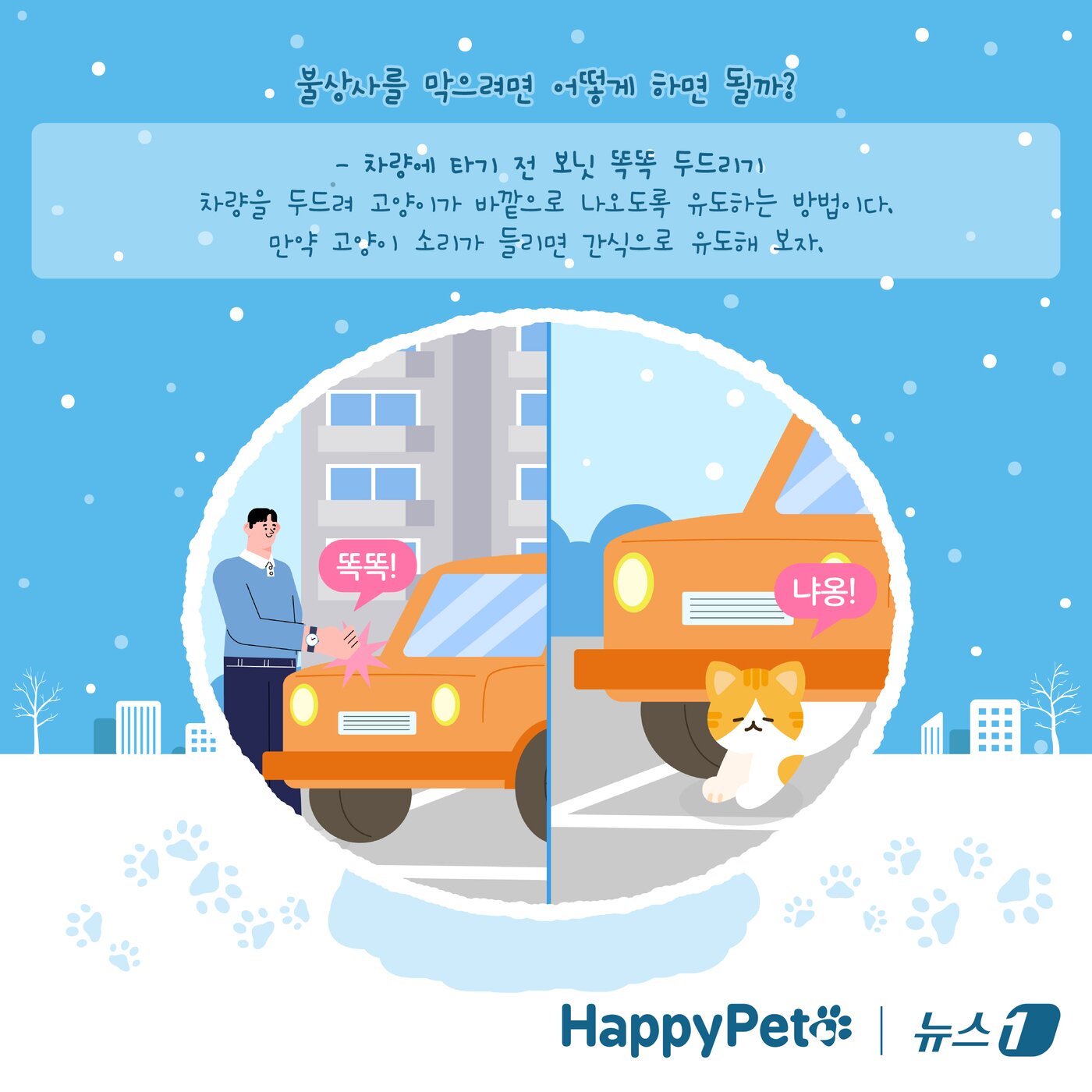 본문 이미지 - 고양이 노크 펫카드 ⓒ 뉴스1