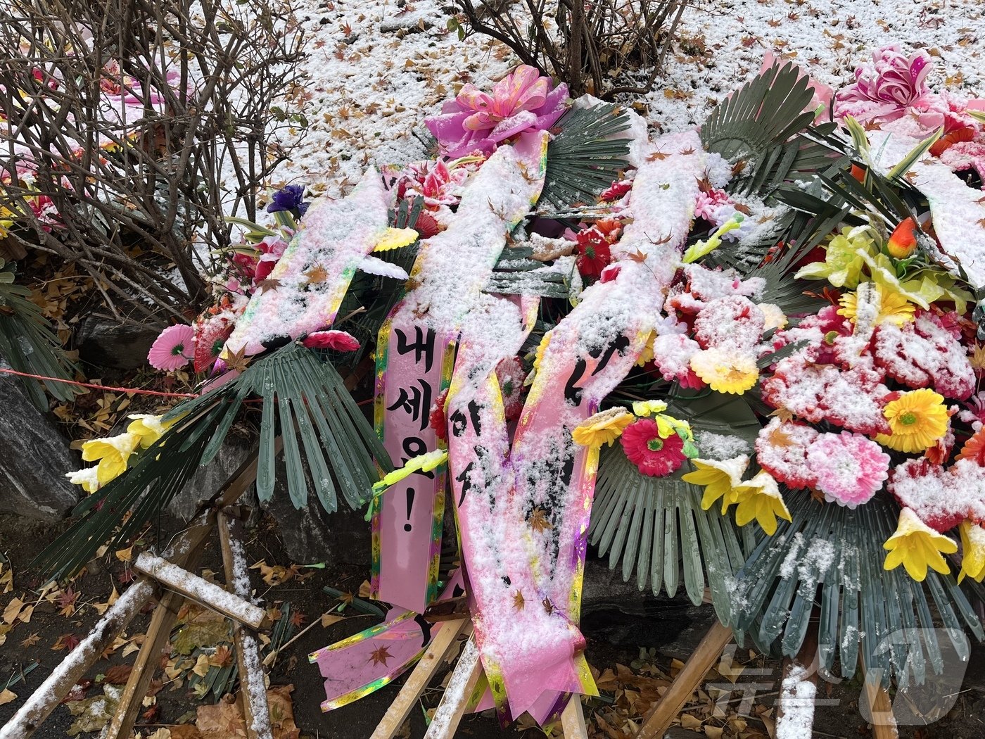 본문 이미지 - 21일 오전 서울 용산구 대통령실 인근 '대통령 탄핵 반대' 화환들이 방치된 모습. 2024.12.21/뉴스1 ⓒ News1 김종훈 기자