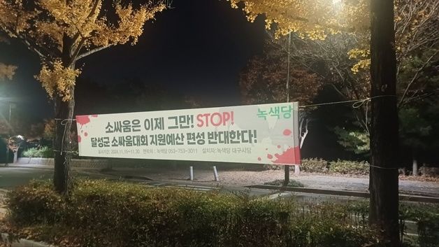 대구 달성군, 동물학대 논란 속 소싸움대회 예산 편성