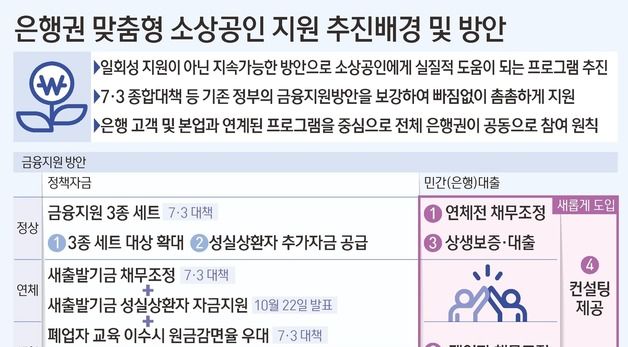 [그래픽] 은행권 맞춤형 소상공인 지원 추진배경 및 방안