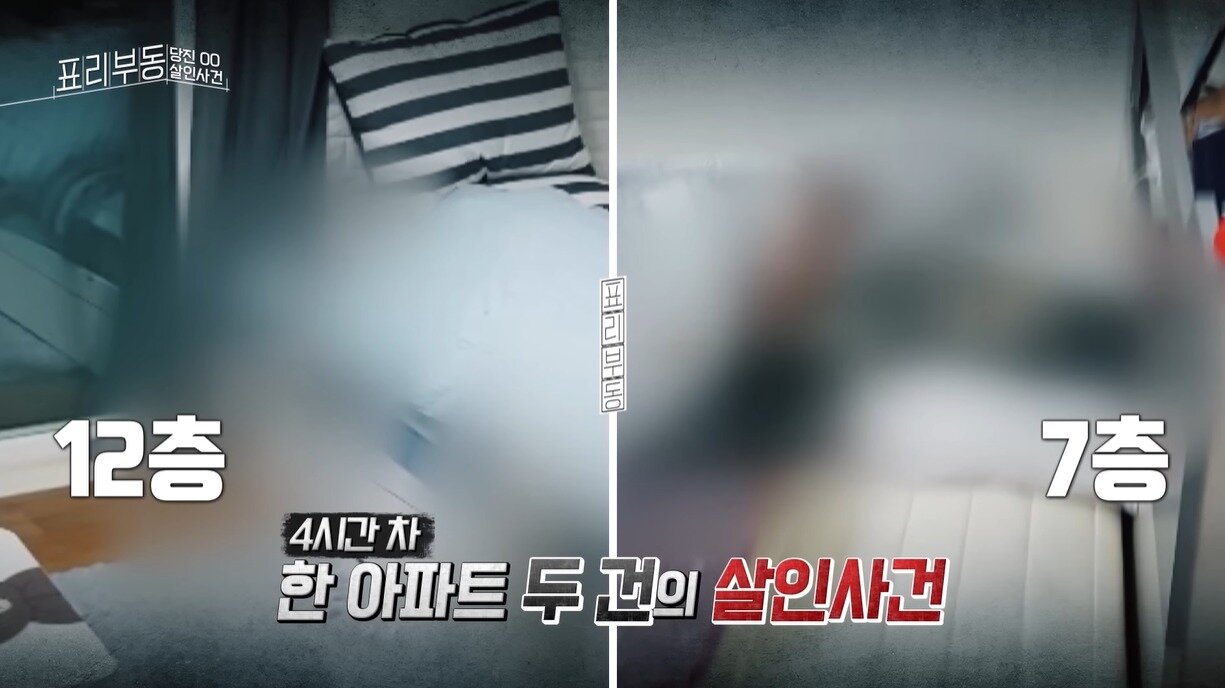 본문 이미지 - &#40;KBS교양 &#39;표리부동&#39; 갈무리&#41;