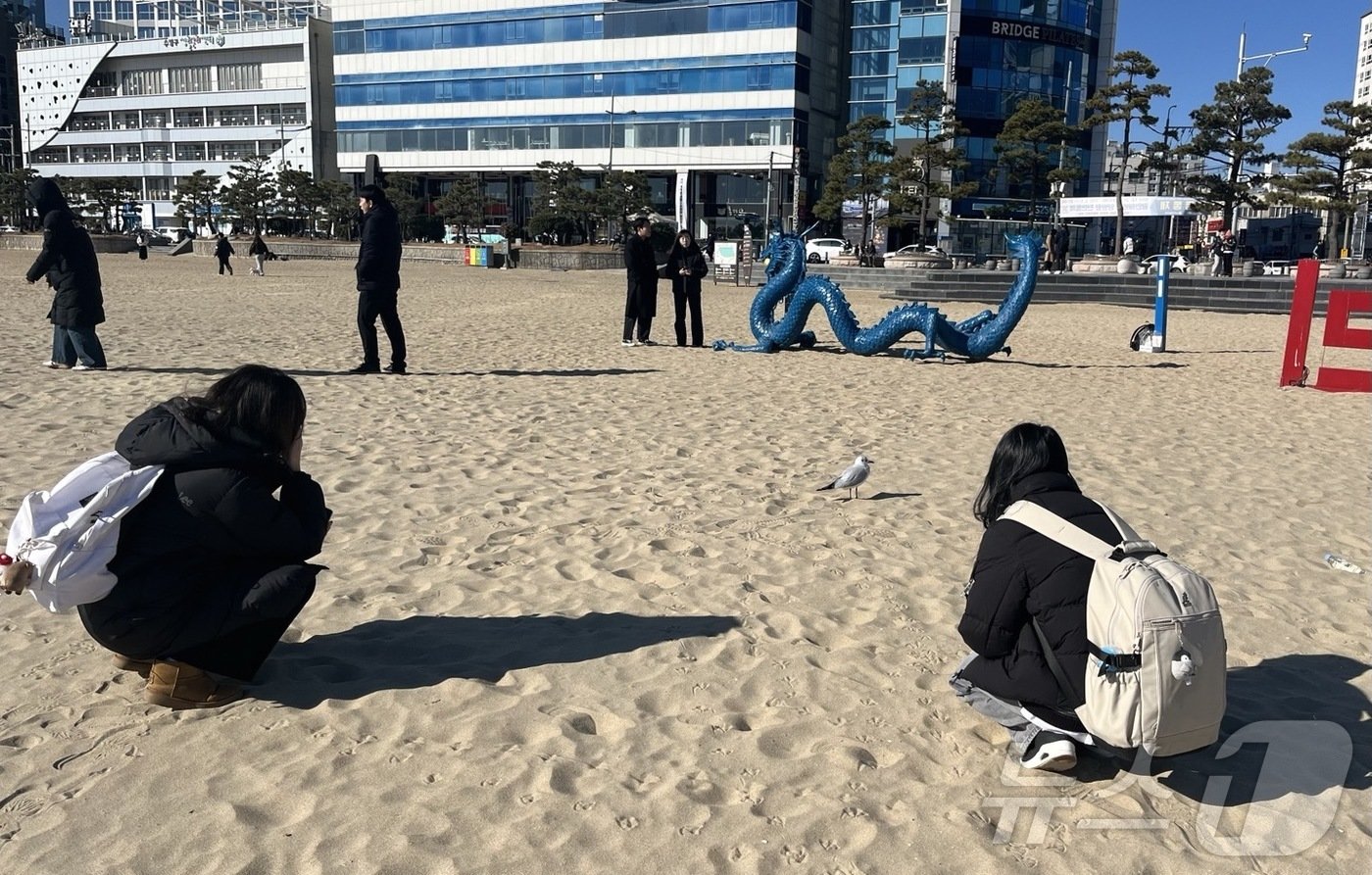 본문 이미지 - 22일 부산 광안리해수욕장에서 방문객 2명이 갈매기를 구경하고 있다.2024.12.22/뉴스1 ⓒ News1 장광일 기자