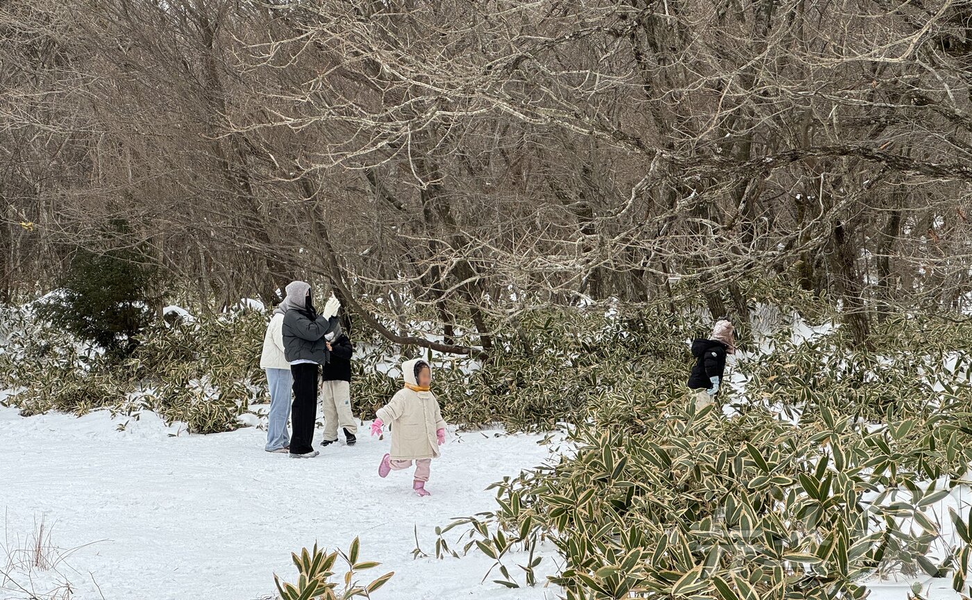 본문 이미지 - 22일 오전 제주 한라산 1100고지에서 탐방객들이 눈놀이를 하고 있다. 2024.12.22/뉴스1