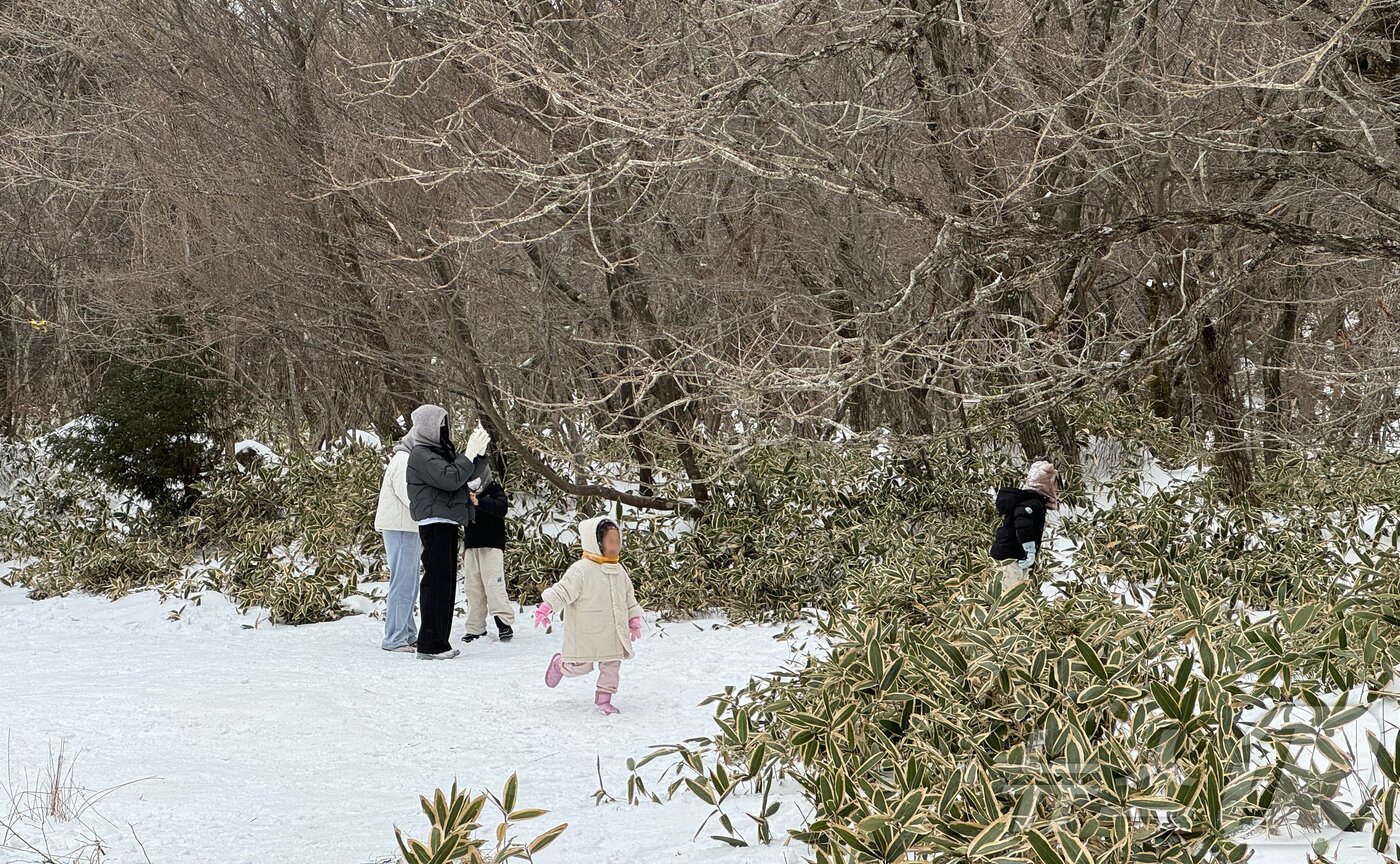 22일 오전 제주 한라산 1100고지에서 탐방객들이 눈놀이를 하고 있다. 2024.12.22/뉴스1