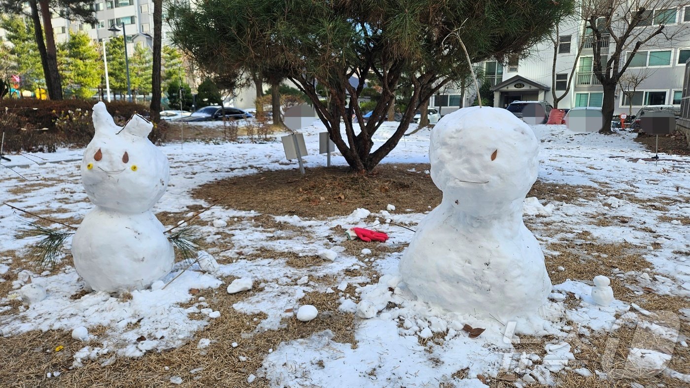 본문 이미지 - 영하권 날씨를 보인 22일 낮 강원 춘천 동내면 거두리의 한 아파트 단지 내에 누군가 만든 눈사람들이 세워져 있다.2024.12.22 한귀섭 기자.