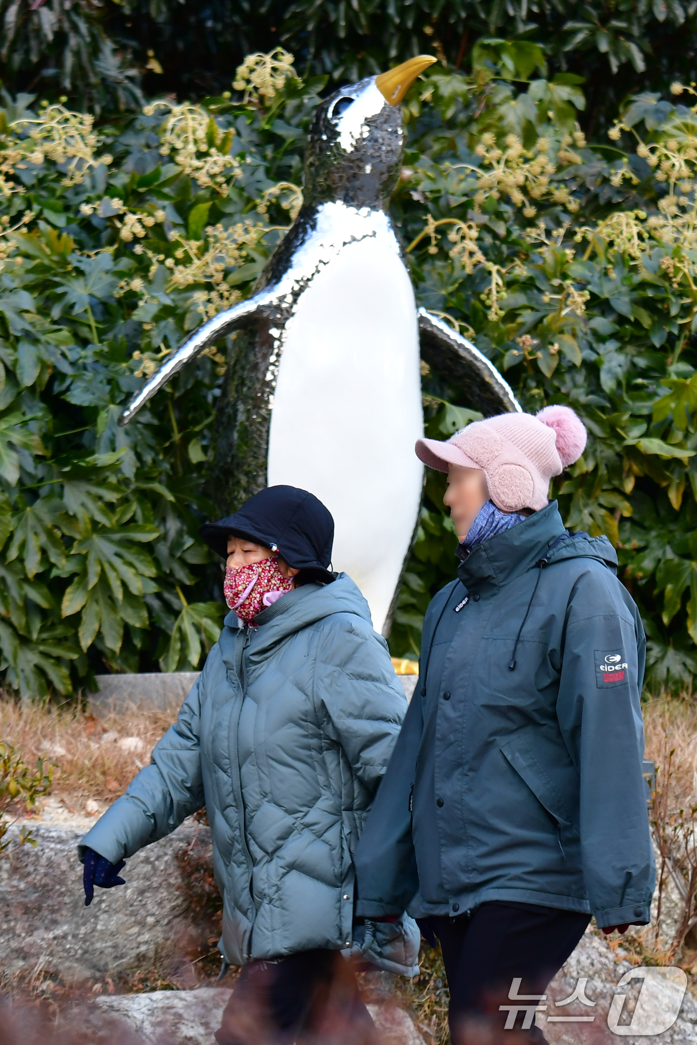 (포항=뉴스1) 최창호 기자 = 23일 오전 경북 포항시 남구 대잠동 철길 숲에서 아침 산책 나온 시민들이 펭귄 조형물 앞을 지나가고 있다. 2024.12.23/뉴스1