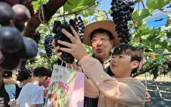 '영동포도' 활용 천연화장품 내년 1월 출시…홍보·고부가가치 창출