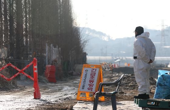 여주 산란계 농장 고병원성 AI 확진…올겨울 16번째