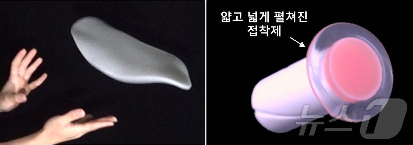 본문 이미지 - 피자 반죽을 돌려서 펼치듯 회전에 의해 얇고 넓게 펼쳐지는 접착제. 피자 반죽 모사 재료를 돌리는 모습(왼쪽)과 회전에 의해 펼쳐지는 접착제(오른쪽)(지스트 제공)/뉴스1 