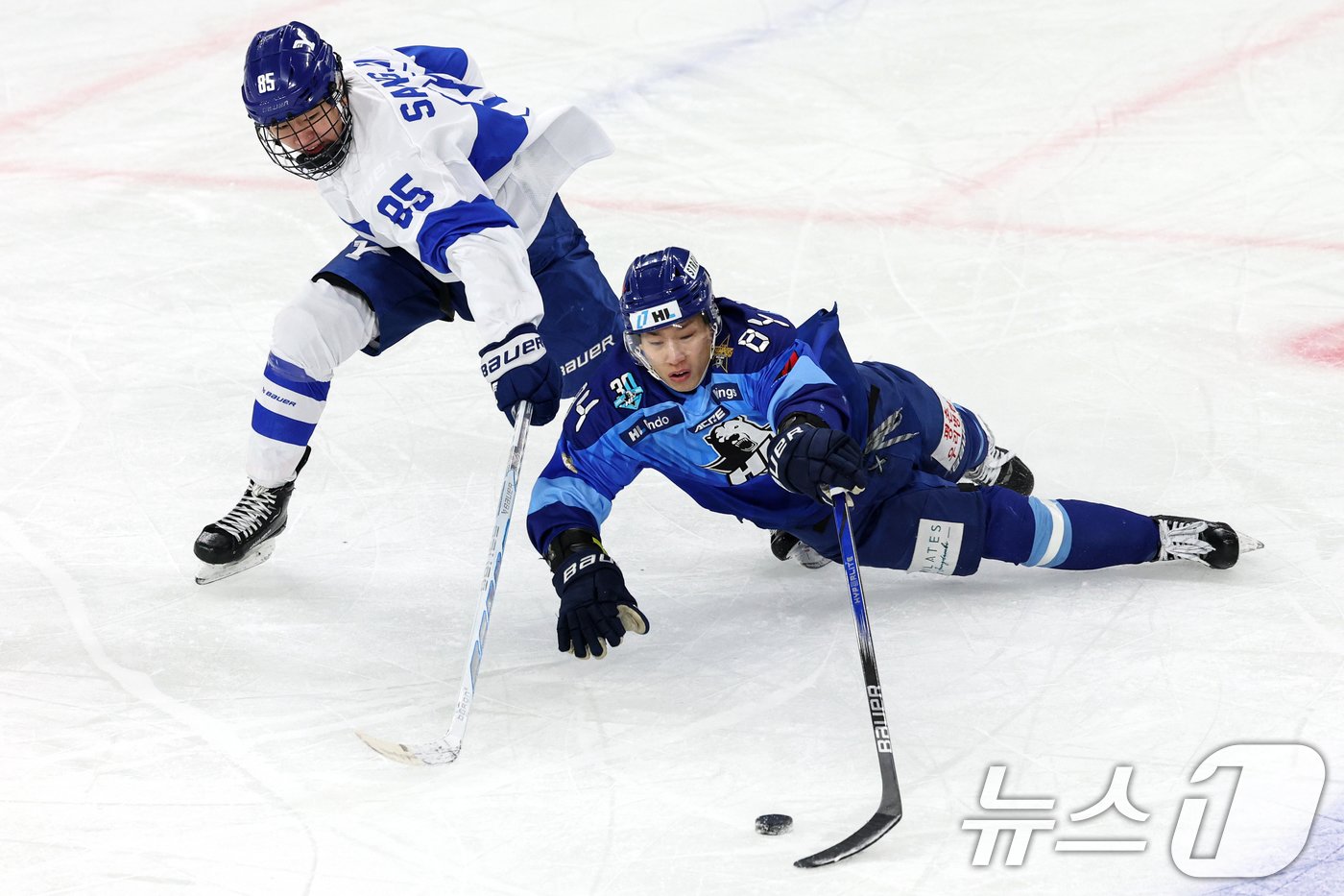 본문 이미지 - 24일 오후 서울 양천구 목동 실내 아이스링크에서 열린 전국종합아이스하키 선수권 대회 결승전 HL안양과 연세대의 경기에서 안양 이현승이 넘어지며 퍽을 지키고 있다. 2024.12.24/뉴스1 ⓒ News1 이승배 기자