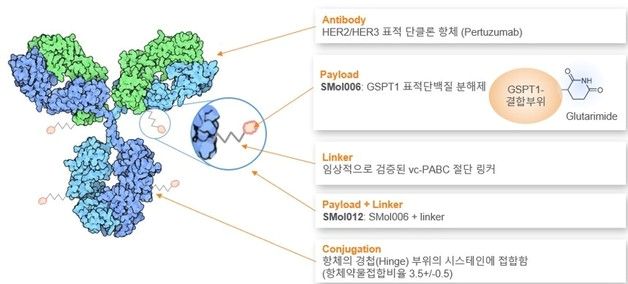 오름테라퓨틱, IPO 재도전…내달 17일 수요예측 시작