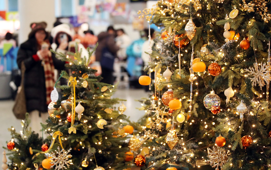 '곧 크리스마스'…제주 바다 앞 트리도 보고 이색 쇼핑도 하고