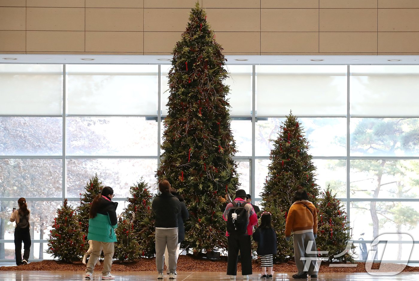 본문 이미지 - 크리스마스를 맞아 25일 오후 대구 수성구 삼덕동 대구미술관을 찾은 시민들이 크리스마스트리를 감상하고 있다. 2024.12.25/뉴스1 ⓒ News1 공정식 기자