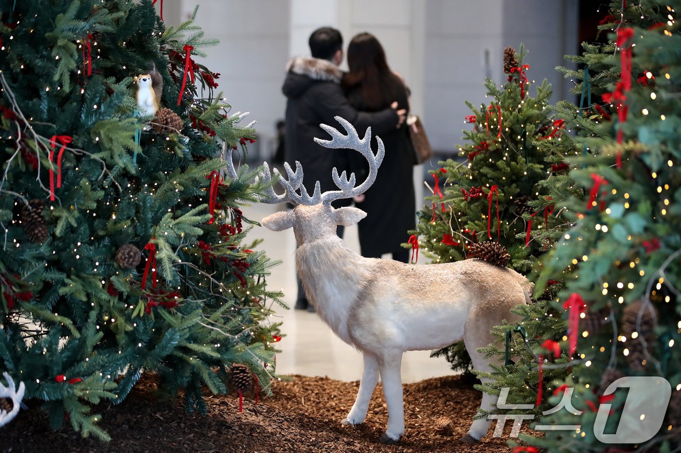 본문 이미지 - 크리스마스를 맞아 25일 오후 대구 수성구 삼덕동 대구미술관을 찾은 시민들이 크리스마스트리를 감상하고 있다. 2024.12.25/뉴스1 ⓒ News1 공정식 기자
