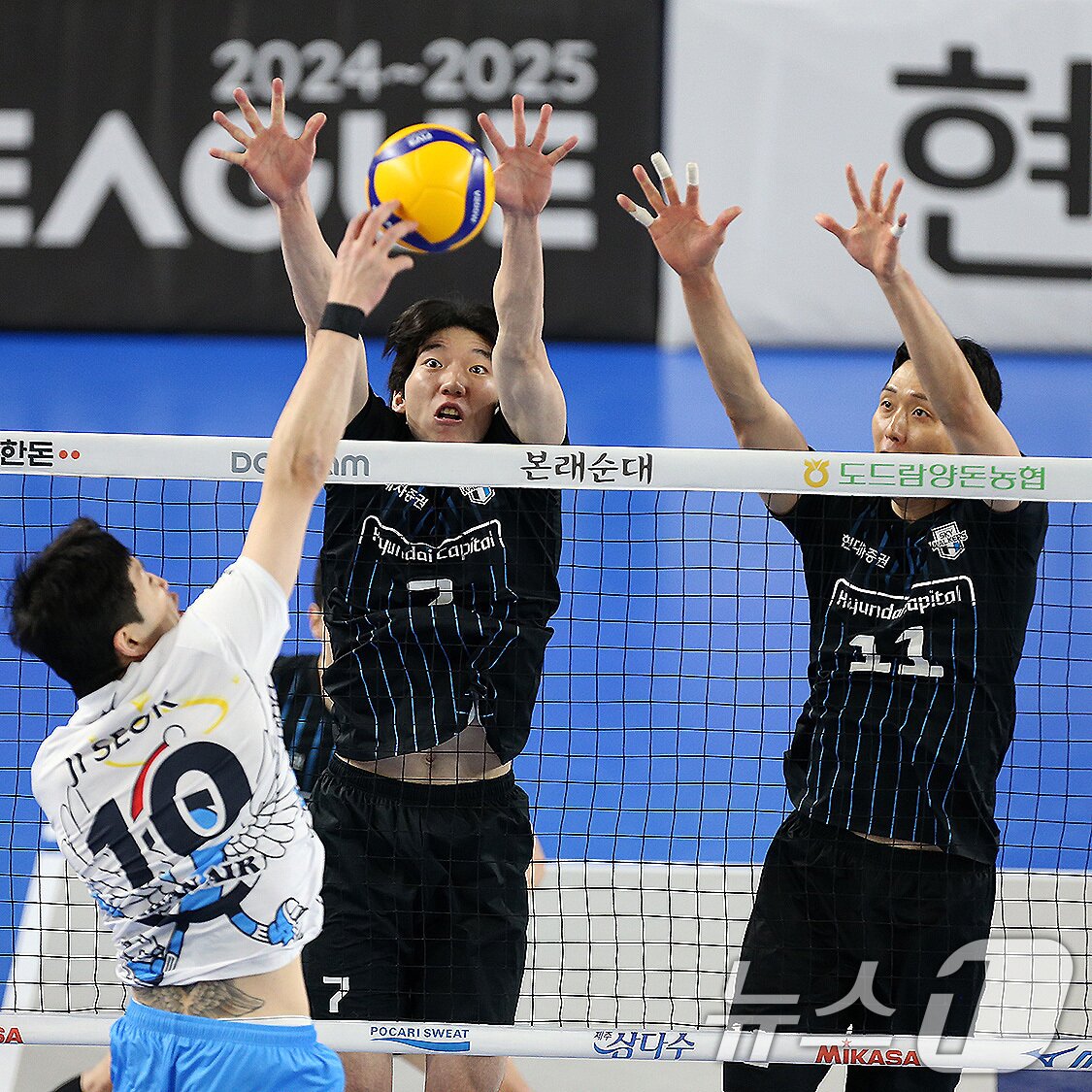 본문 이미지 - 올 시즌 대한항공을 상대로 한 번도 패하지 않은 현대캐피탈. (현대캐피탈 제공)