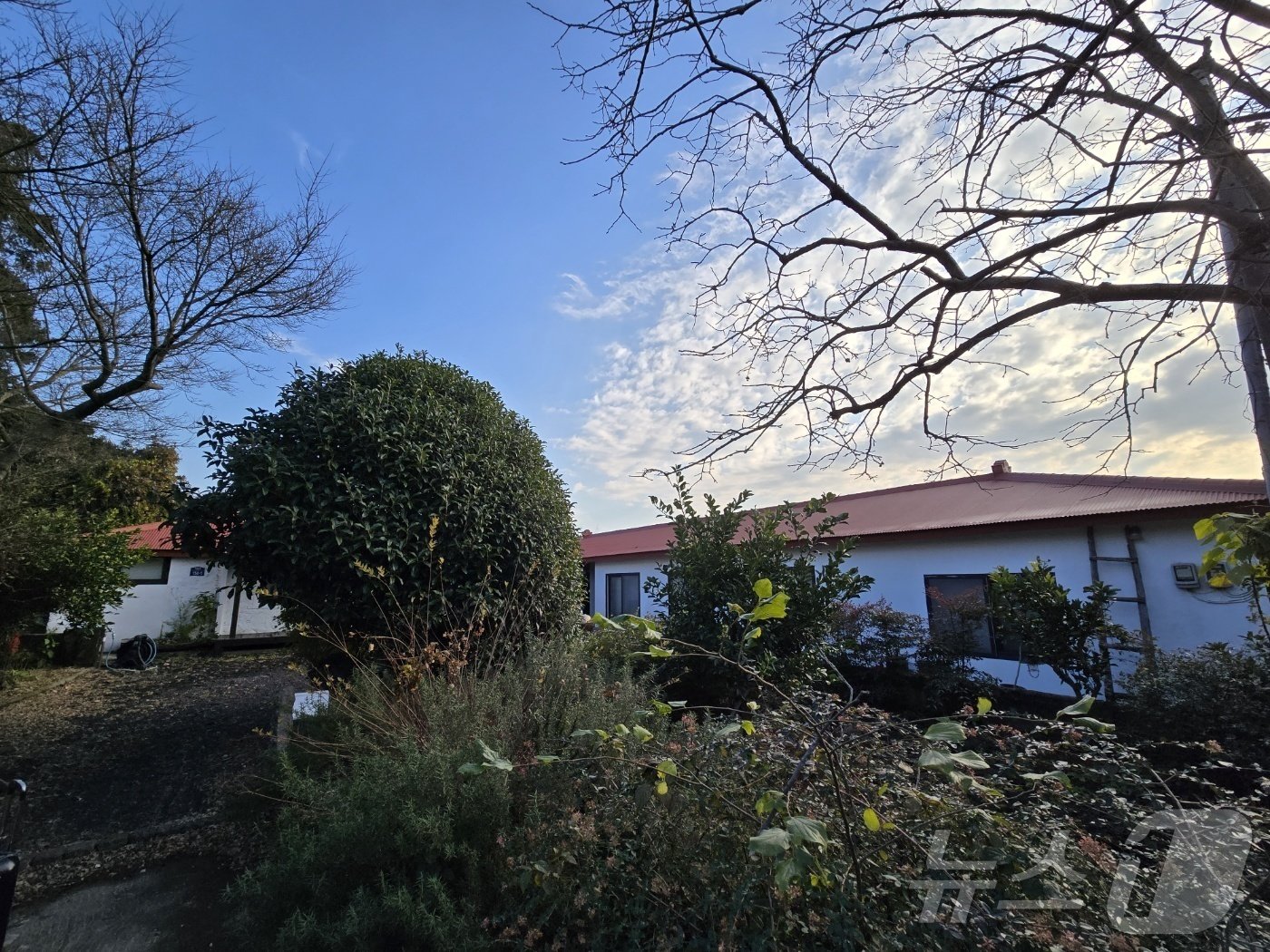 본문 이미지 - 제주 빈집프로젝트 다자요의 하천바람집 안거리 전경 2024.12.18/뉴스1 ⓒ News1 강은성 기자