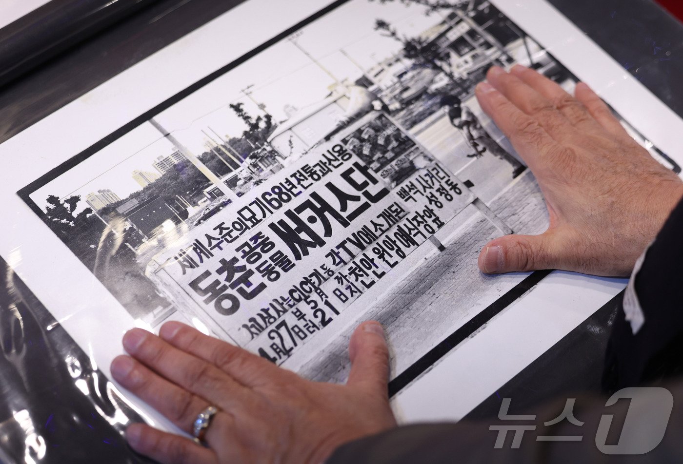 본문 이미지 -  박세환 동춘서커스 단장이 과거를 추억하며 옛날 사진을 들여다보고 있다.   ⓒ News1 박지혜 기자