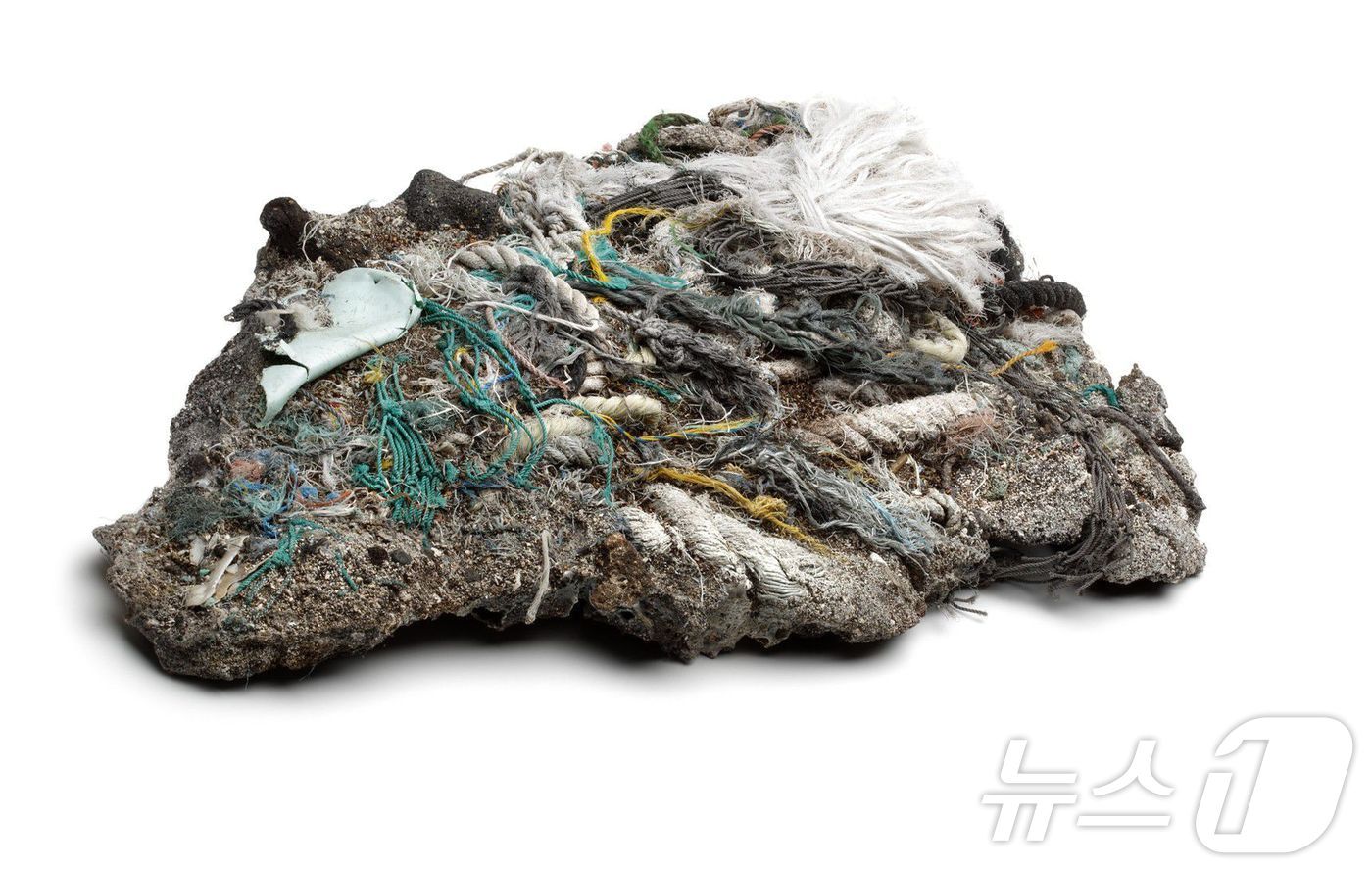 본문 이미지 - 네덜란드 헤이그 소재 과학·환경 예술관 '뮤세온 옴니버섬'에 전시된 '플라스티글로머레이트' ⓒ 뉴스1