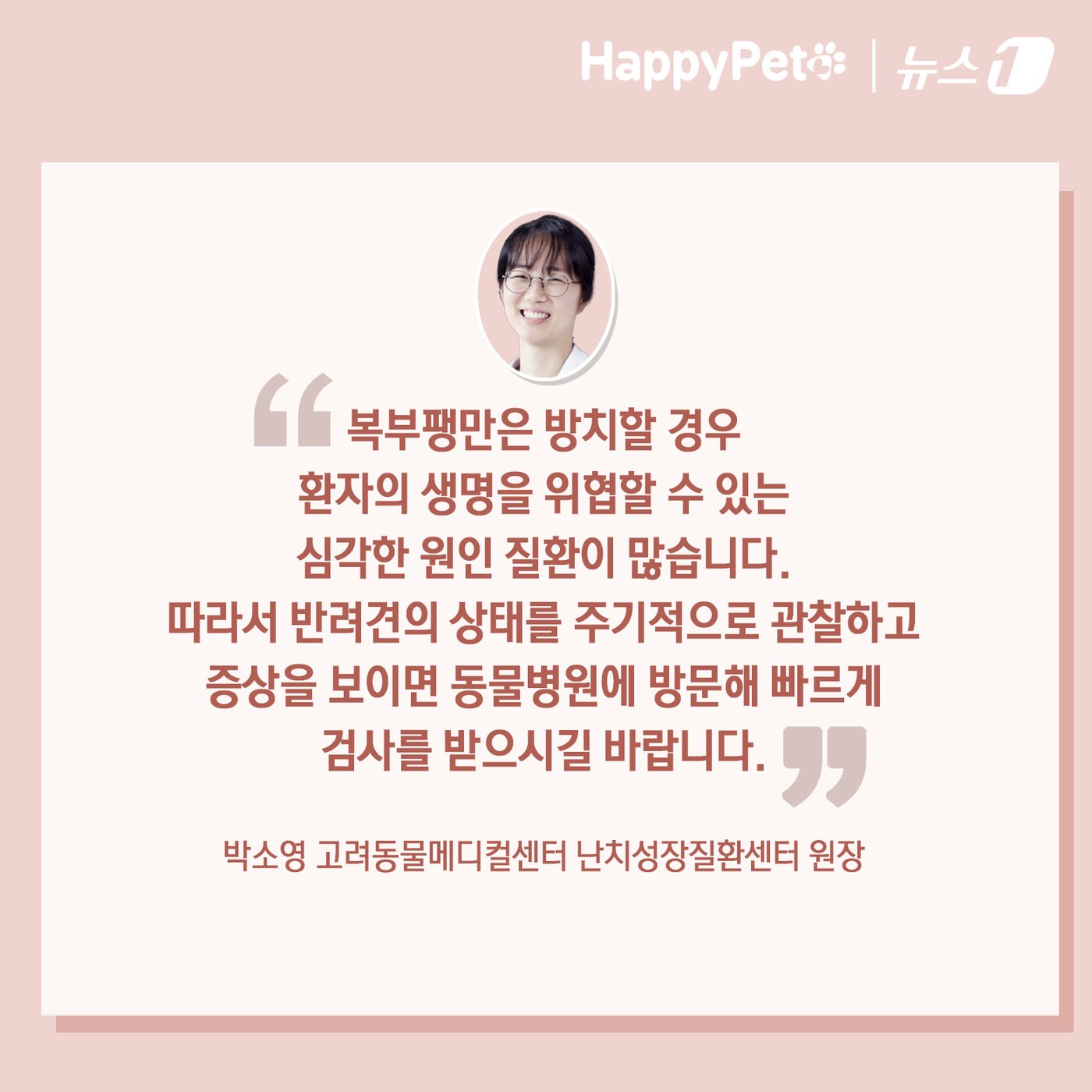 본문 이미지 - ⓒ News1 김초희 디자이너