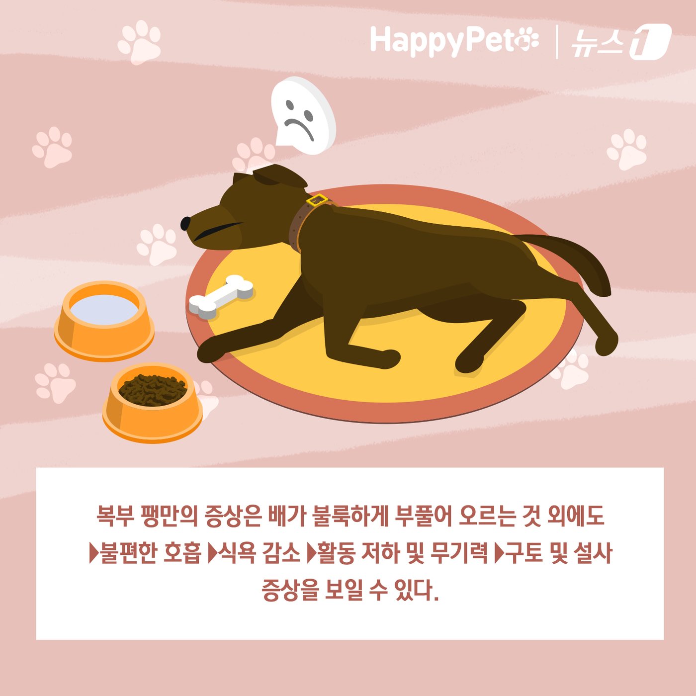 본문 이미지 - ⓒ News1 김초희 디자이너