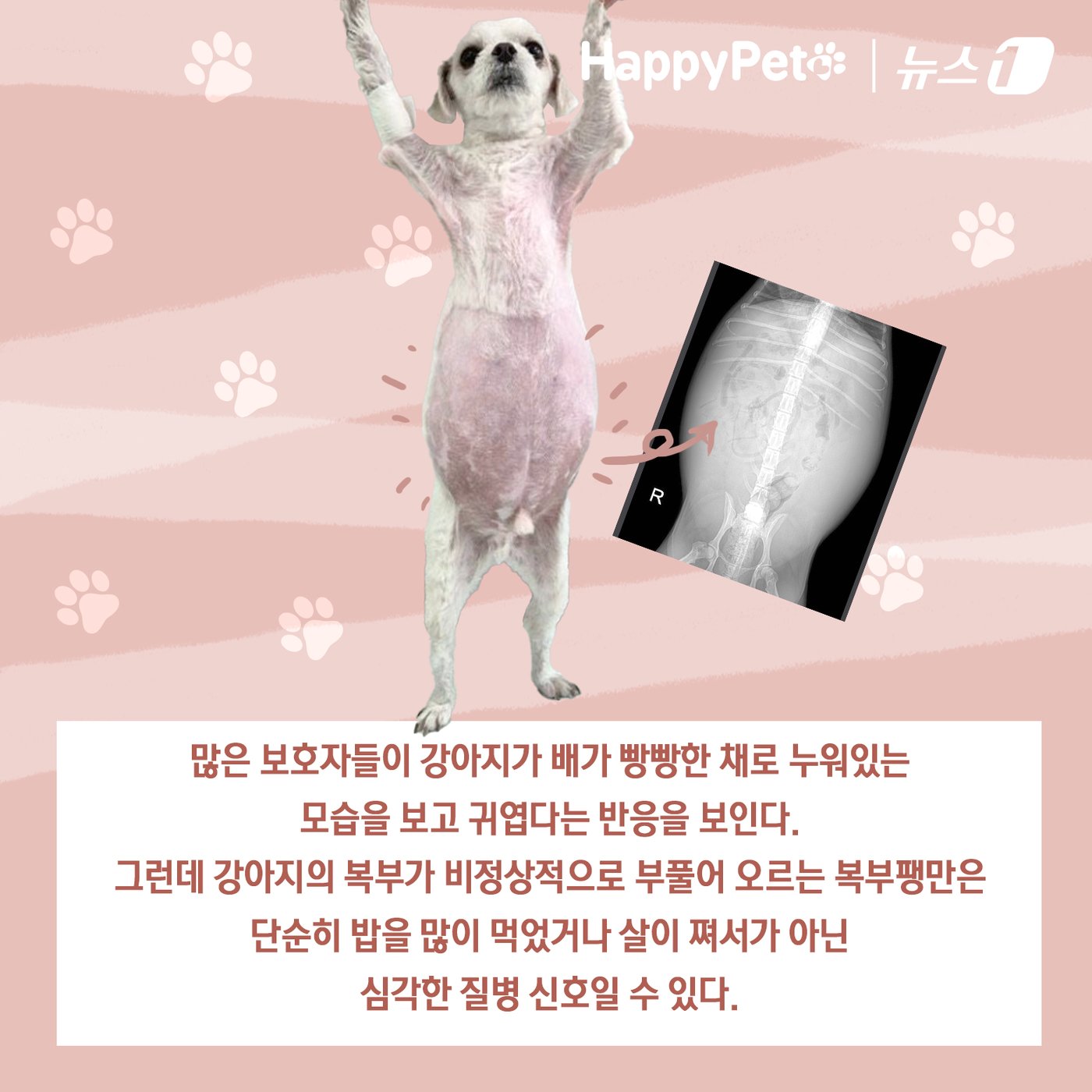 본문 이미지 - ⓒ News1 김초희 디자이너
