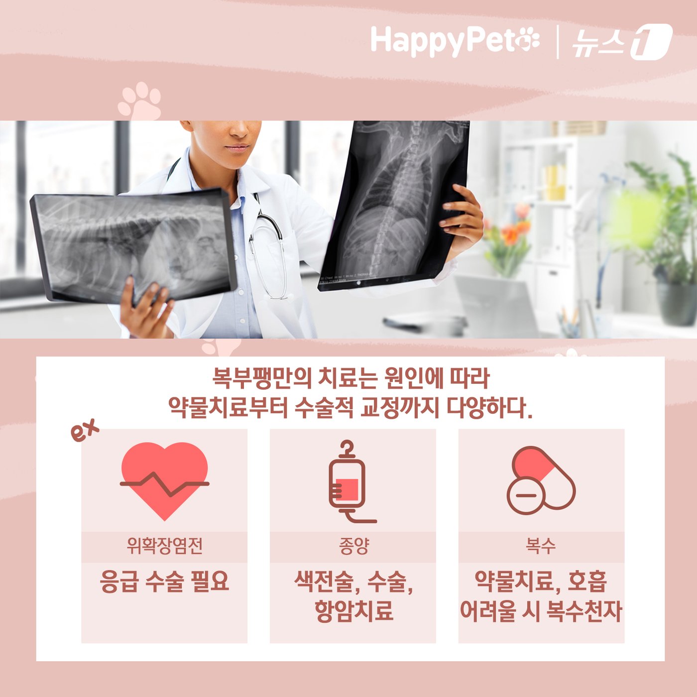 본문 이미지 - ⓒ News1 김초희 디자이너