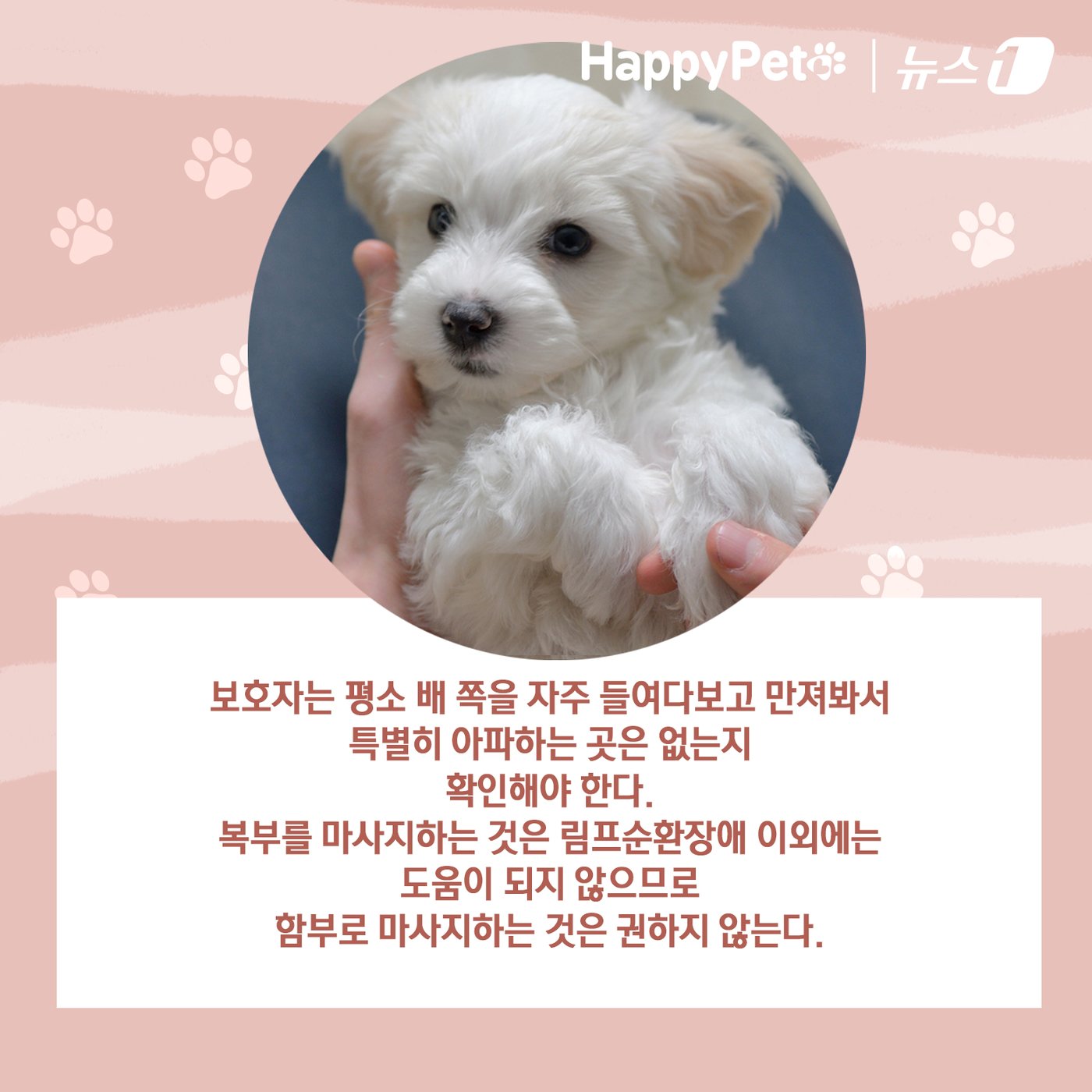본문 이미지 - ⓒ News1 김초희 디자이너