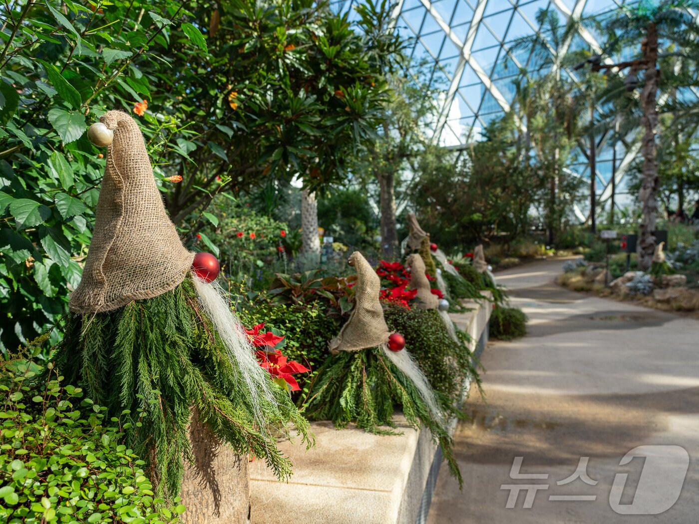 본문 이미지 - 서울식물원의 '윈터페스티벌' 나무에 꾸며진 스웨덴 요정을 온실 곳곳에서 발견할 수 있다(한국관광공사 제공)