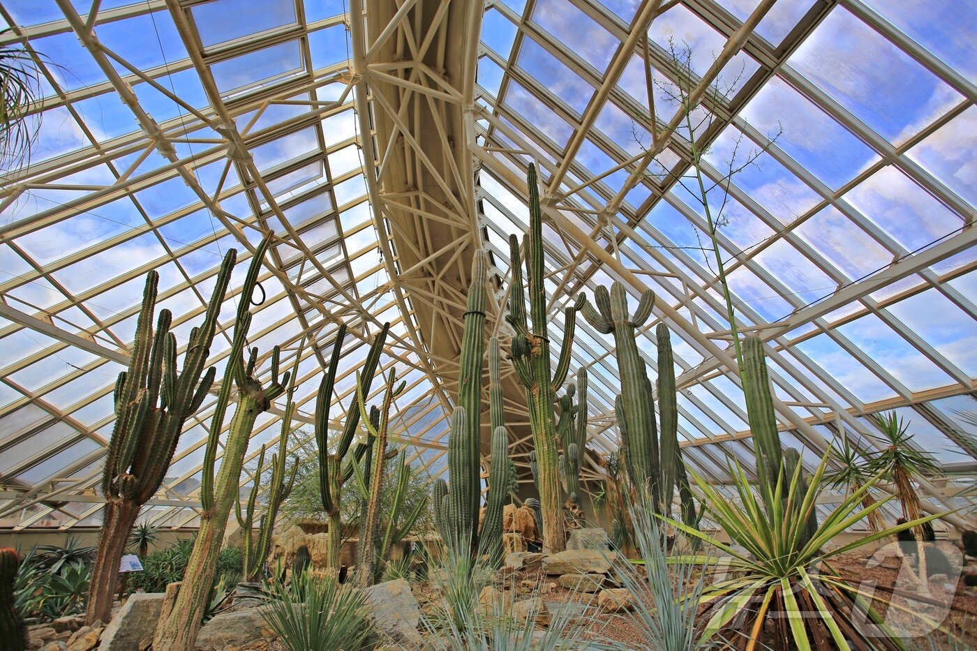 본문 이미지 - 5대기후관 중 사막관 풍경(한국관광공사 제공)