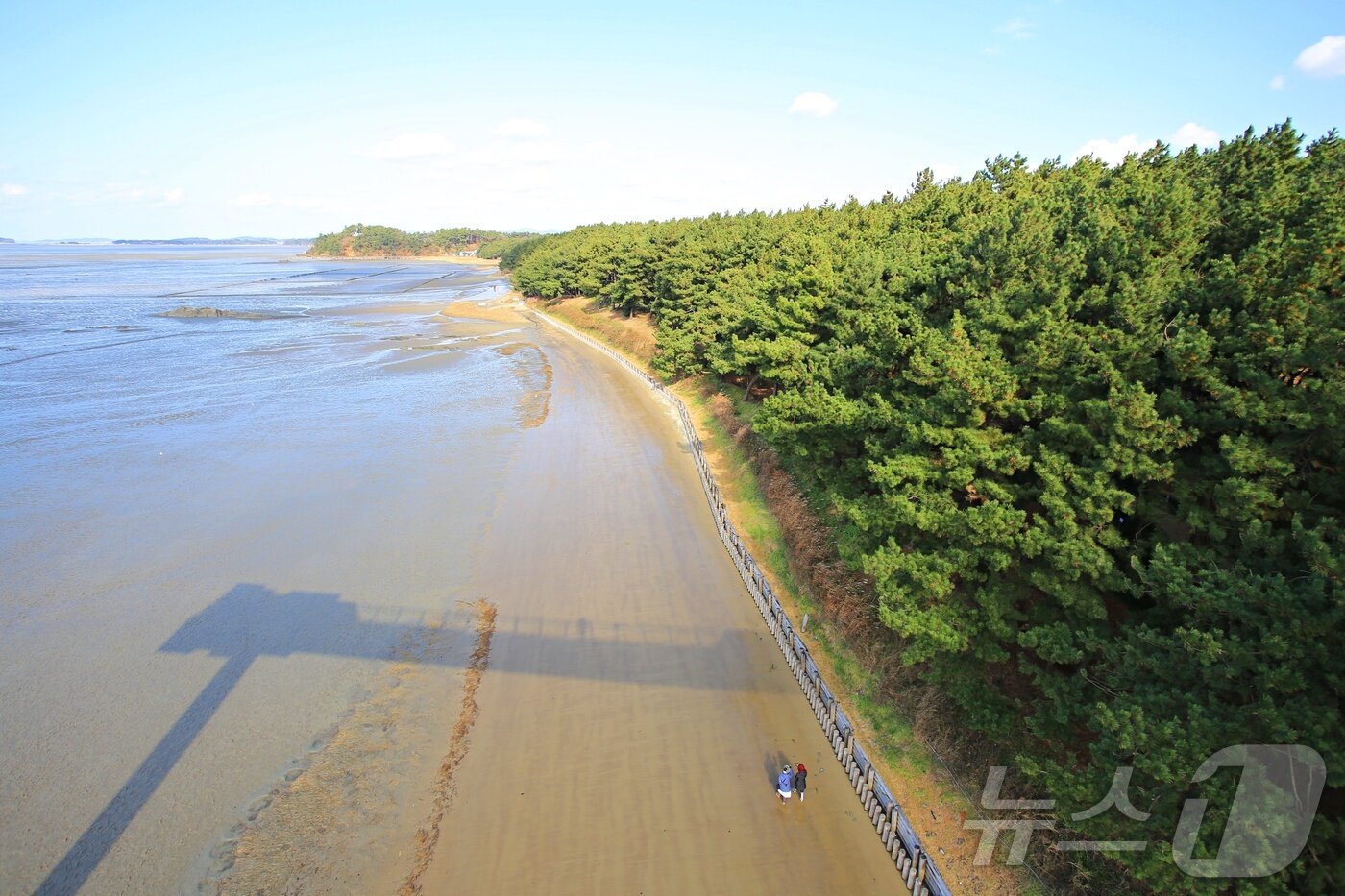 본문 이미지 - 갯벌과 해송림이 아름답게 어우러진다(한국관광공사 제공)