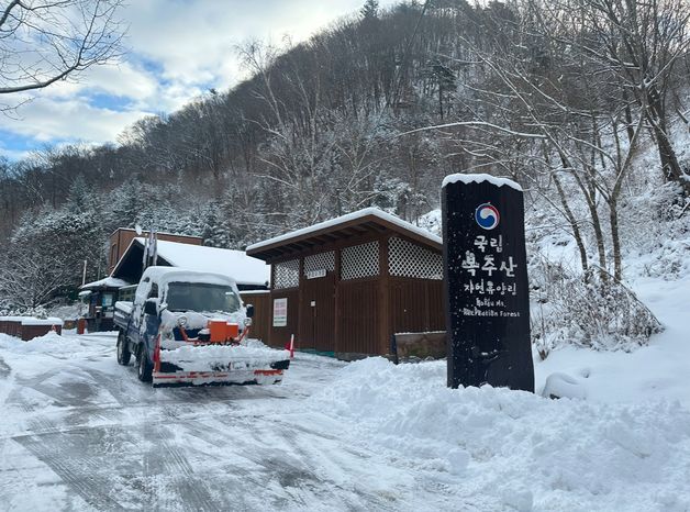 산림청, 주말 강설 예보에 산림복지시설 점검…지지대 보강