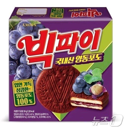 본문 이미지 - 시장에 출시한 '빅파이 영동포도' (자료사진) /뉴스1
