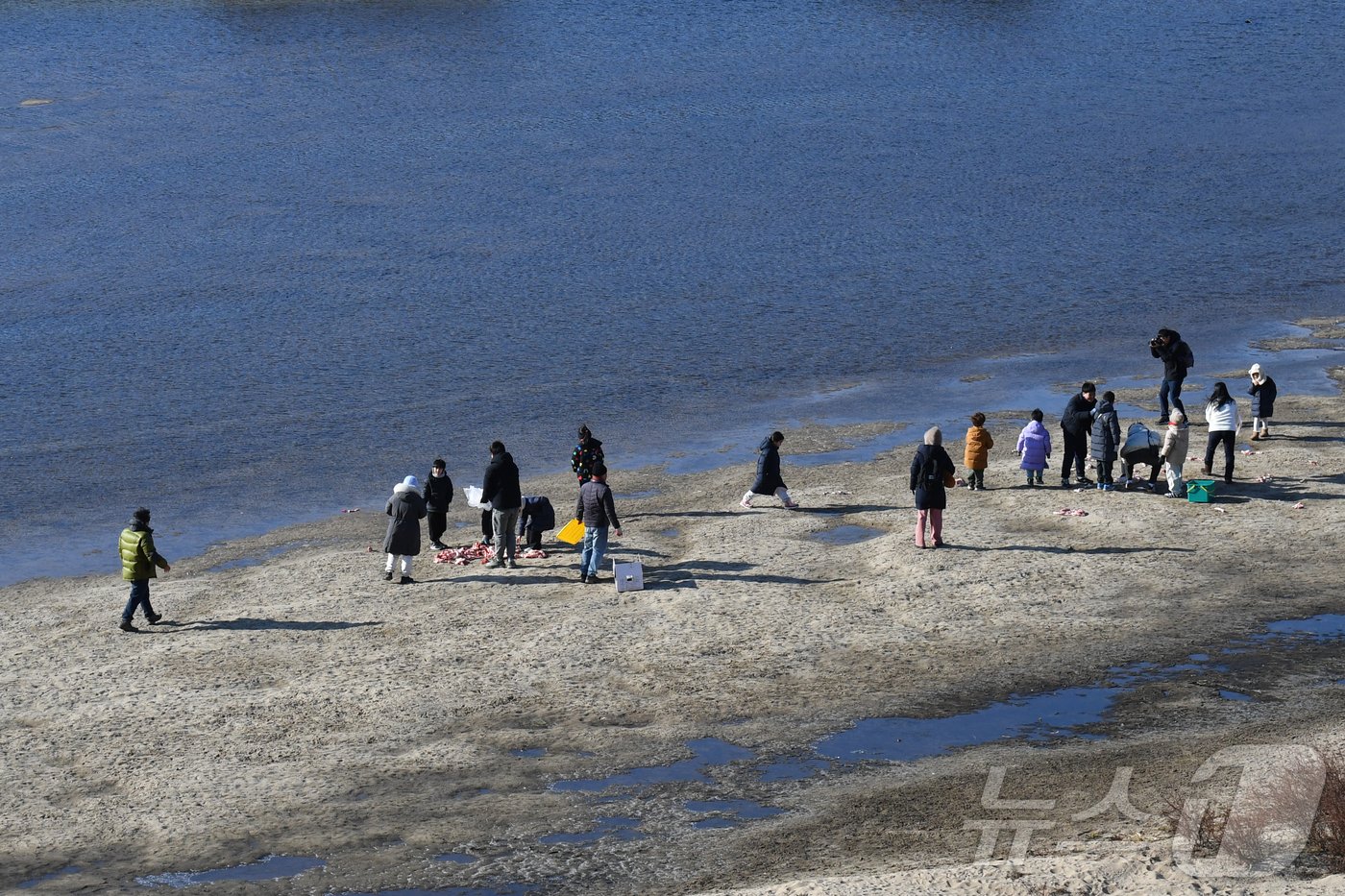 본문 이미지 - 28일 경북 고령군 회천 강변에 마련된 독수리식당에서 학생들과 시민들이 독수리 먹잇감을 주고 있다. 이날 독수리들에게 준 먹이는 축산부산물 약 120kg이다. 2024.12.28/뉴스1 ⓒ News1 최창호 기자 