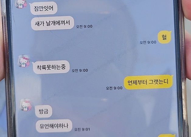 여객기 탑승객 "새가 날개에 껴서 착륙 못하는 중" 문자 후 연락두절