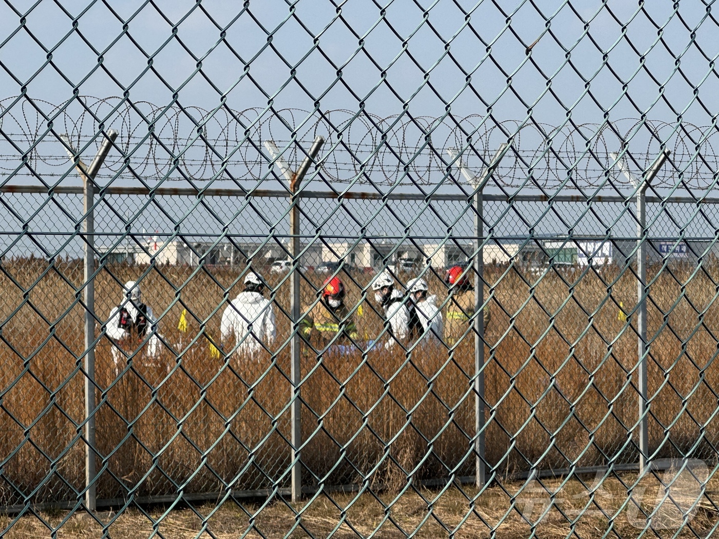 (무안=뉴스1) 이승현 기자 = 29일 오전 전남 무안국제공항 활주로에 여객기가 추락해 사고 수습이 이뤄지고 있다.이날 오전 9시 7분쯤 승객과 승무원 181명을 태운 태국발 제주 …