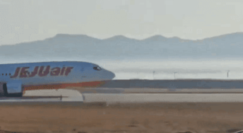 본문 이미지 - 뉴스1 ⓒ News1