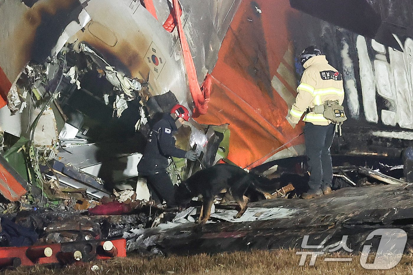 본문 이미지 - 29일 오후 181명이 탑승한 제주항공 여객기가 추락한 전남 무안국제공항에서 소방대원들이 사고 수습 작업을 하고 있다.  2024.12.29/뉴스1 ⓒ News1 김성진 기자